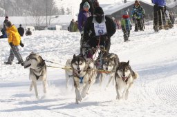 Lenk 2012 SM